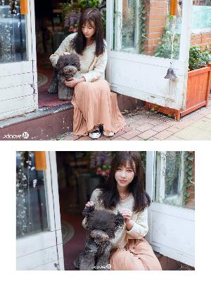 哔哩哔哩网页版