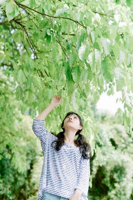 剑来第二季在线观看免费完整版